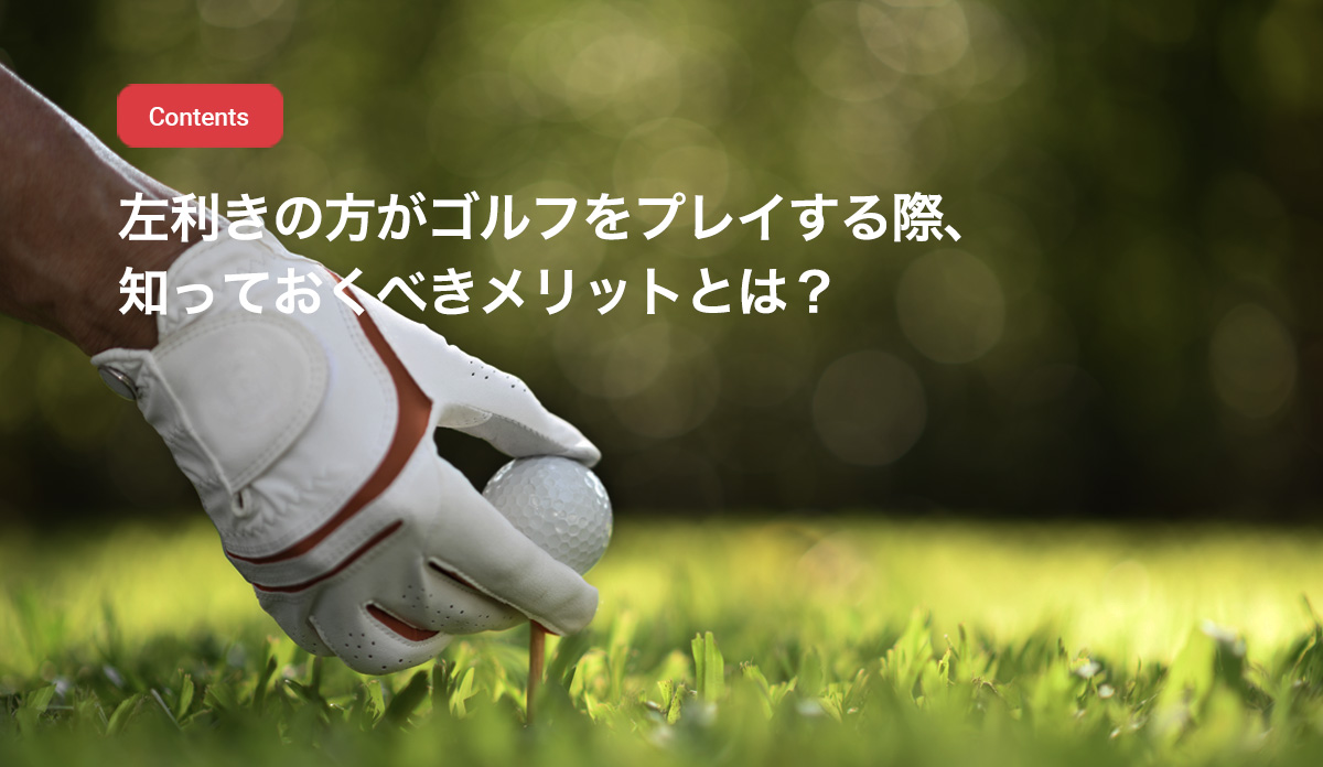 レフティー と は